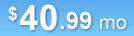 $40.99 mo